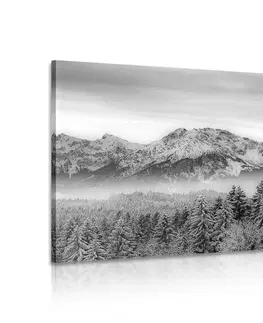 Černobílé obrazy Obraz zamrzlé hory v černobílém provedení