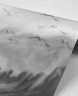 Černobílé tapety Tapeta přelet ptáků v černobílém provedení