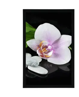 Květiny Plakát zen kameny a orchidej