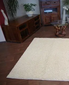 Koberce a koberečky Dywany Lusczow Kusový koberec SHAGGY Izebelie 5cm krémový, velikost 100x200
