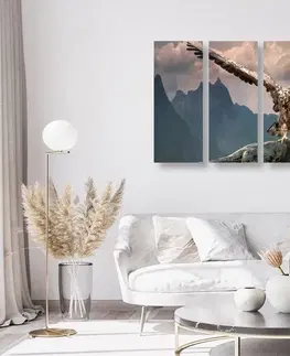 Obrazy zvířat 5-dílný obraz orel s roztaženými křídly nad horami
