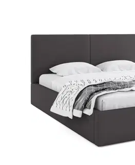 Postele BMS Manželská postel HAILEY | bez matrace 120 x 200 cm Barva: Grafit