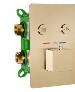 Koupelnové baterie REA Sprchový termostatický set FENIX DAVIS zlatá kartáčová z termostatem + BOX REA-P6358