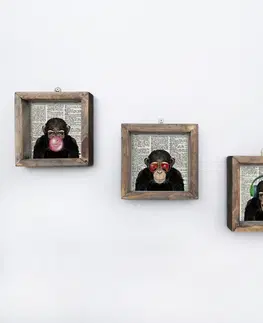 Obrazy Hanah Home Sada obrazů Šimpanz 15x15 cm 3 ks