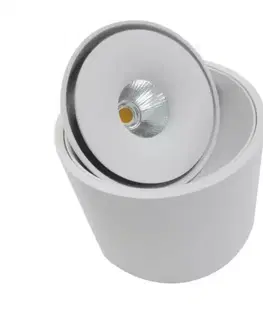 LED bodová svítidla LED Stropní přisazené svítidlo AZzardo Boston Tube white AZ3469 10W 810lm 3000K IP20 8,2cm bílé stmívatelné