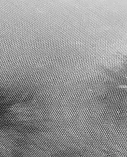 Černobílé obrazy Obraz vlk v zasněžené krajině v černobílém provedení