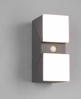Venkovní nástěnná svítidla s čidlem pohybu Trio Lighting Venkovní nástěnné svítidlo LED Avon, dvousvětelné, senzorové