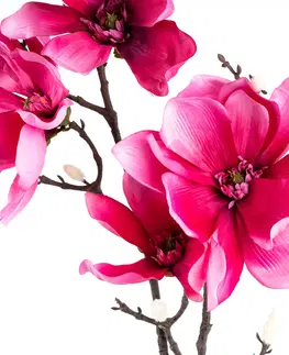 Květiny Umělá květina Magnolie růžová, 86 cm