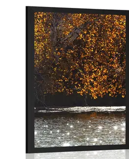 Příroda Plakát odraz listí v jezeře