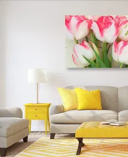 Obrazy květů Obraz tulipány v jarním nádechu