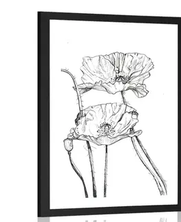 Motivy z naší dílny Plakát s paspartou minimalistické květiny máku