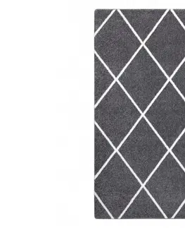 Koberce a koberečky Dywany Lusczow Kusový koberec SKETCH JACK šedý  / bílý trellis, velikost 280x370