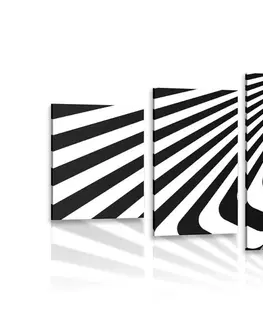 Černobílé obrazy 5-dílný obraz černobílá iluze