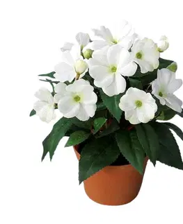 Květiny Umělá Netýkavka v květináči bílá, 24 cm