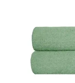 Ručníky Faro Froté ručník OCELOT 50x100 cm světle zelený