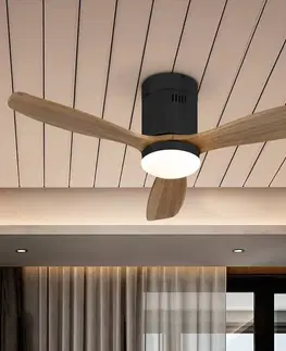 Stropní ventilátory se světlem Schuller Valencia Stropní ventilátor Siroco Mini LED, černá/ořech