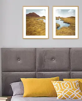 Obrazy a plakáty Obraz Grassy Field II 40x50cm