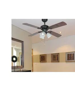 Domácí ventilátory Stropní ventilátor se světlem Faro LISBOA 33102 hnědá
