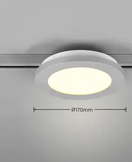 Svítidla pro 2fázový kolejnicový systém Trio Lighting Stropní svítidlo LED Camillus DUOline, Ø 17 cm, titanová barva