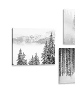 Sestavy obrazů Set obrazů vlk v tajemném lese v černobílém provedení