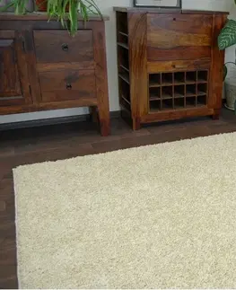 Koberce a koberečky Dywany Lusczow Kusový koberec SHAGGY Izebelie 5cm česnekový, velikost 60x100