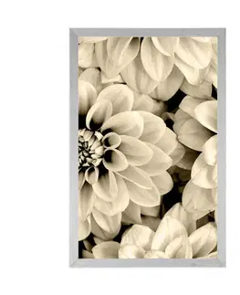 Černobílé Plakát květiny dálí v sépiovém provedení