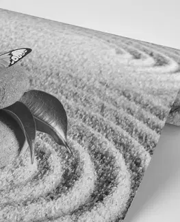 Černobílé tapety Fototapeta černobílý motýl na Zen kameni