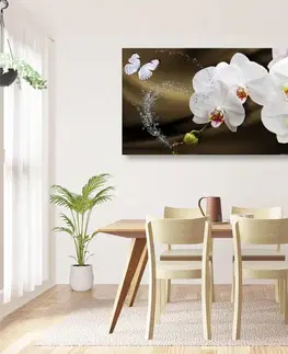 Obrazy květů Obraz orchidej a motýl