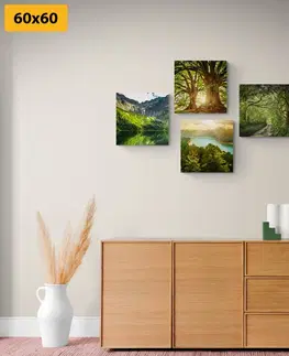 Sestavy obrazů Set obrazů nádherná zelená příroda