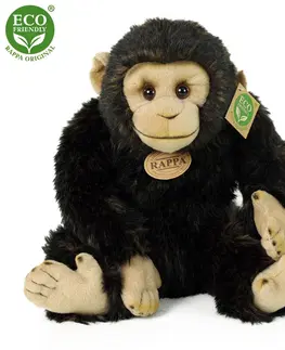 Hračky RAPPA - Plyšový šimpanz 27 cm ECO-FRIENDLY