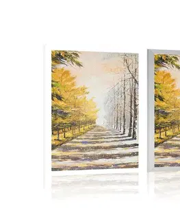 Příroda Plakát podzimní alej stromů