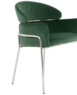 Jídelní křesla Židle s područkami Zelená/barvy Stříbra