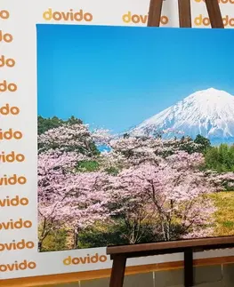 Obrazy přírody a krajiny Obraz sopka Fuji