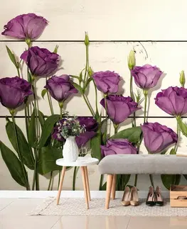 Samolepící tapety Samolepící fototapeta nádherné fialové květiny