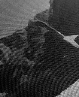 Černobílé obrazy Obraz dřevěná vikingská loď v černobílém provedení