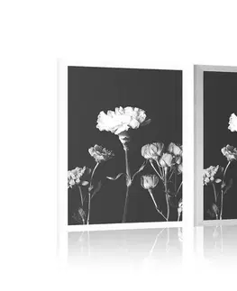 Černobílé Plakát elegantní černobílé květiny