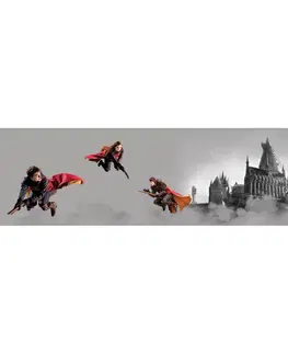 Tapety Samolepicí bordura Harry Potter Famfrpál, 500 x 9,7 cm