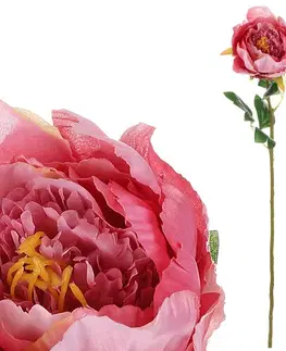 Květiny Umělá květina Pivoňka růžová, 11 x 70 x 11 cm