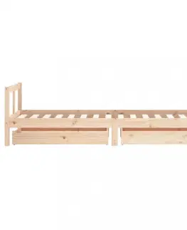 Dětské pokoje Dětská postel se zásuvkami 80 x 200 cm masivní borové dřevo