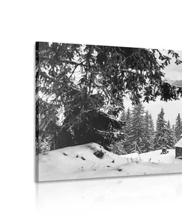 Černobílé obrazy Obraz dřevěný domek u zasněžených borovicích v černobílém provedení