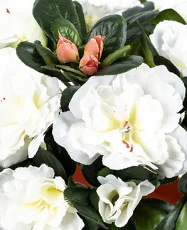 Květiny Umělá květina Azalka v květináči bílá, 21 x 10 x 10 cm