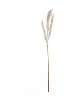 Umělé květiny Pampová tráva 110cm beige