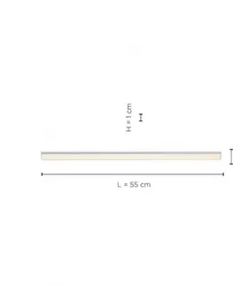 Přisazená nábytková svítidla PAUL NEUHAUS LED skříňkové svítidlo ve stříbrném, plochém a jednoduchém designu 2700K