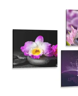 Sestavy obrazů Set obrazů Feng Shui ve fialovém provedení