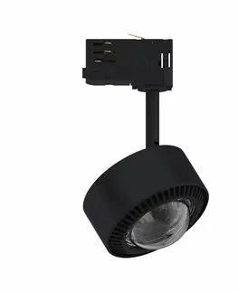Svítidla pro Paulmann 3fázové kolejnice PAULMANN ProRail3 LED lištový spot Aldan 800lm 8,2W 4000K 230V černá/chrom
