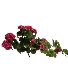 Květiny Umělý převis Muškát tmavě růžová, 68 cm