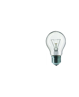 Žárovky  Průmyslová žárovka CLEAR A55 E27/25W/240V 