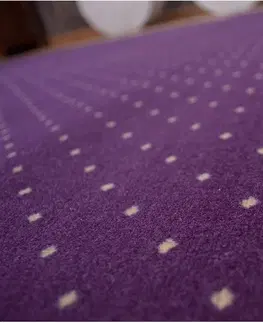 Koberce a koberečky Dywany Lusczow Kusový koberec AKTUA Mateio fialový, velikost 250x300