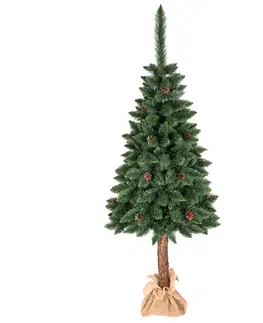 Vánoční stromky Vánoční stromek na kmínku se šiškami 220 cm
