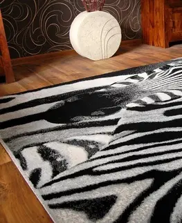 Koberce a koberečky Dywany Lusczow Kusový koberec BCF FLASH 33302/190, velikost 120x170